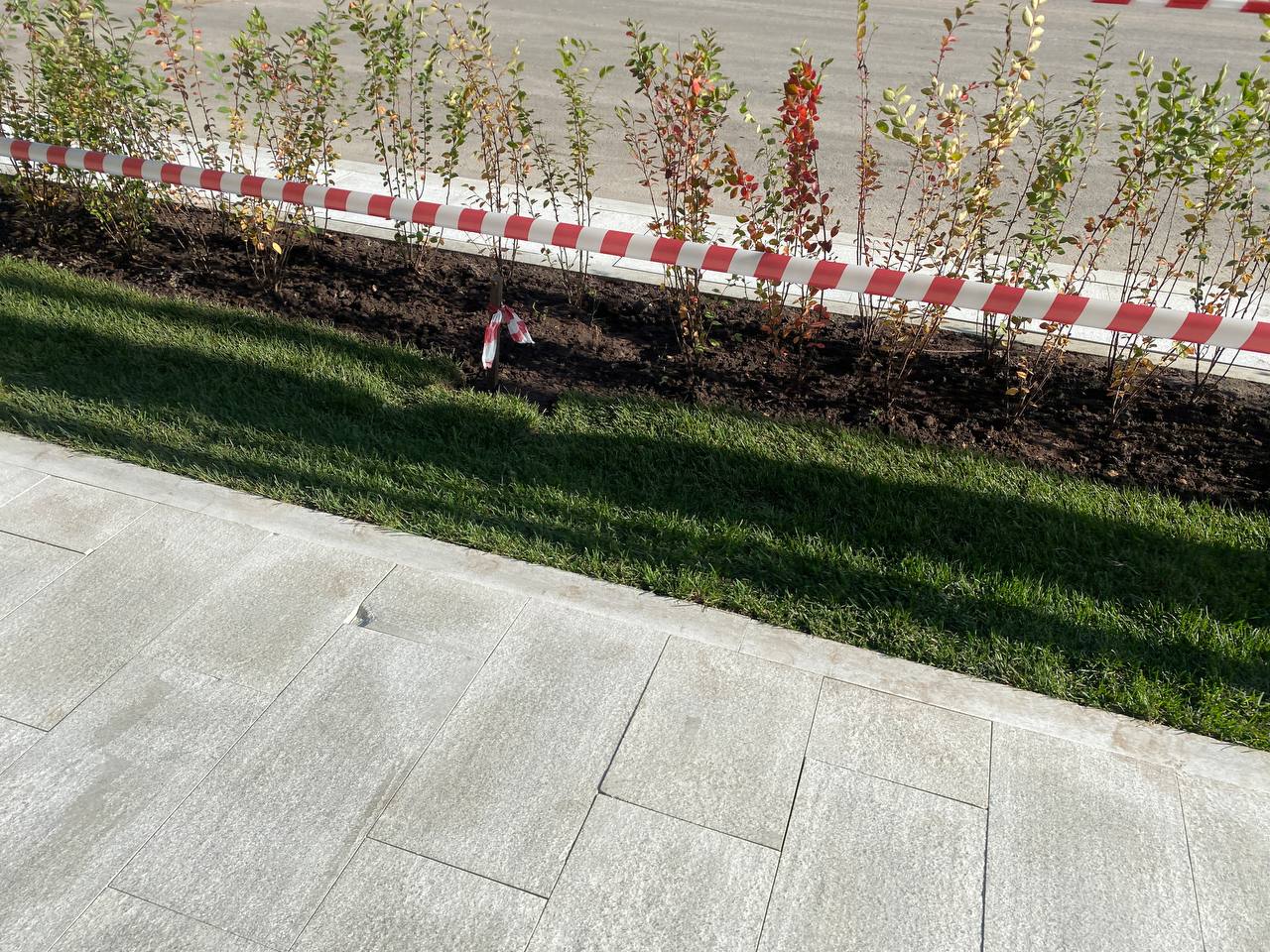 https://sankt-peterburg.blago-s.ru/storage/app/uploads/public/670/e06/820/670e06820d5c2175931920.jpeg