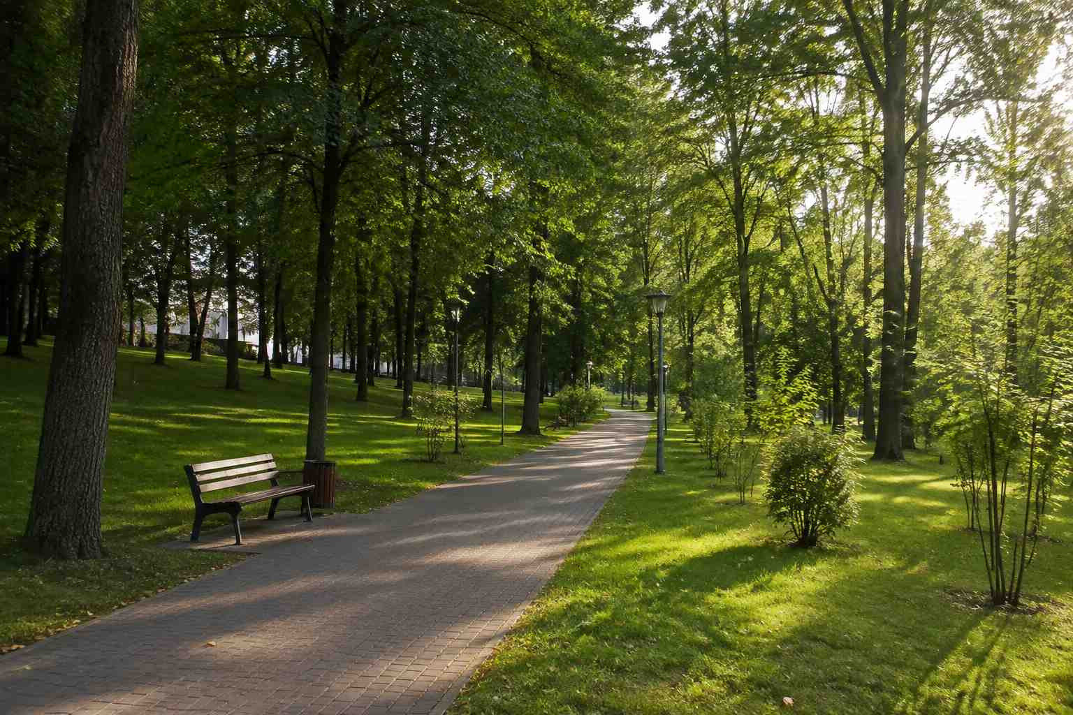 https://sankt-peterburg.blago-s.ru/storage/app/uploads/public/6a7/eef/ed2/6a7eefed2af22038960370.jpg