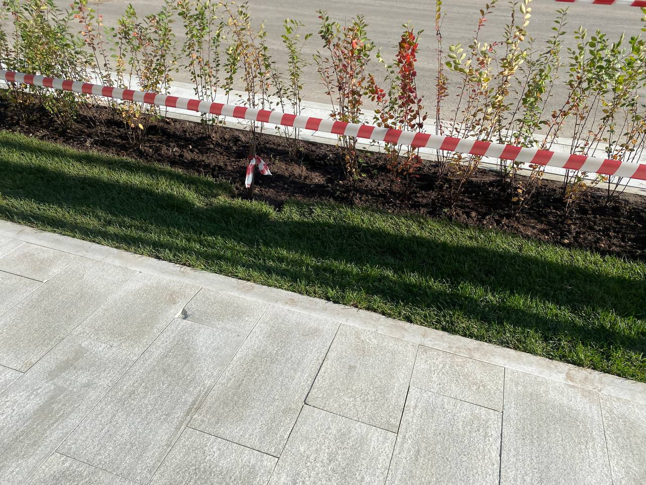 https://sankt-peterburg.blago-s.ru/storage/app/uploads/public/670/e06/820/670e06820d5c2175931920.jpeg
